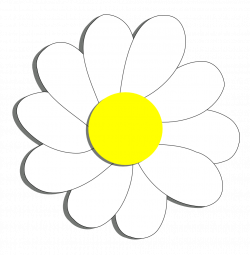 Free Daisy Flower Cliparts, Download Free Clip Art, Free Clip Art on ...