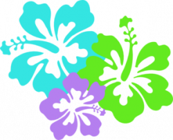 Aqua Hibiscus Flower Clipart