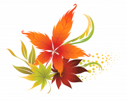 Fall leaves fall leaf clipart no background free clipart images ...