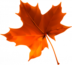 16.png | Clip Art❤Autumn Leaves ❦ | Autumn, Clip art, Fall Crafts