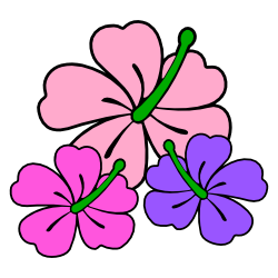 Free Borders and Clip Art | Hibiscus Themed Clip Art and Borders