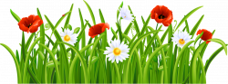 4.png | ✿° grass ° ✿ | Clip art, Flowers, Grass