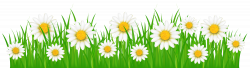 Grass Ground with White Flowers PNG Clip Art Image | Gallery ...