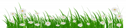 Grass with flower picture library download - RR collections