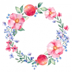 watercolor clipart,flower clipart,hand-painted painting,watercolor ...