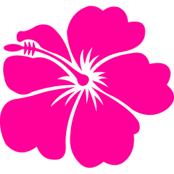 Free Hawaiian Flower, Download Free Clip Art, Free Clip Art on ...