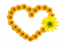simling flower clipart 33932 - Heart Shaped Flowers Free Pictures On ...