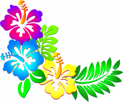 Hibiscus Flower Clip Art | hibiscus corner clip art | Clip Art ...