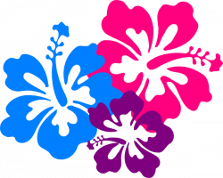 Free Hibiscus Flower Cliparts, Download Free Clip Art, Free Clip Art ...