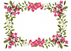 horizontal flower border clipart - image #7