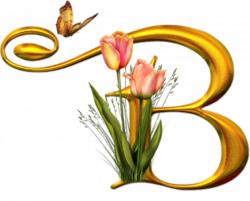 Bello Alfabeto con Flores y Mariposas. | Becky | Alphabet, Monogram ...