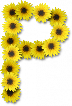 Alfabeto sunflowers .....P | Alpha FLOWERS | Pinterest | Alphabet ...