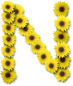 Alfabeto sunflowers .....N | Alpha FLOWERS | Pinterest | Alphabet ...
