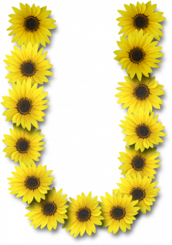 Alfabeto sunflowers .....U | Alpha FLOWERS | Alphabet, Alphabet ...