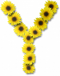 Alfabeto sunflowers .....Y | Alpha FLOWERS | Alphabet, Lettering ...