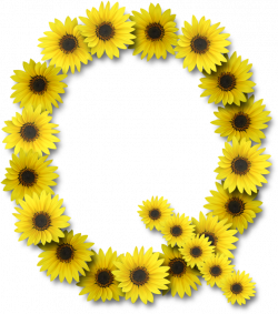 Alfabeto sunflowers .....Q | AMAZING ALPHABETS & LETTERS | Pinterest ...