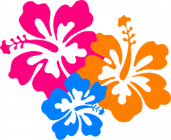 PNG Hawaiian Flower Transparent Hawaiian Flower.PNG Images. | PlusPNG