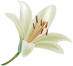 Pin by Courtney Patterson on CLIP ART FLOWERS THREE | Flowers ...