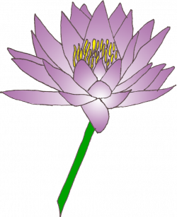 Free Lily Cliparts, Download Free Clip Art, Free Clip Art on Clipart ...