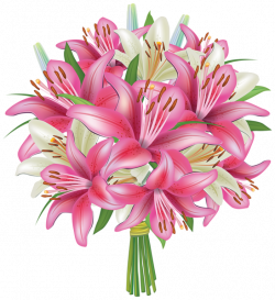 Graphic freeuse stock lily flower - RR collections