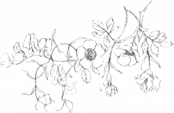 tattoo tattooart flower flowers minimalism minimalist...