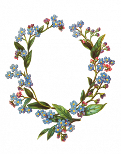 Flower borders and frames