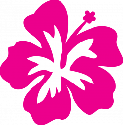 Free Hibiscus Flower Template, Download Free Clip Art, Free Clip Art ...