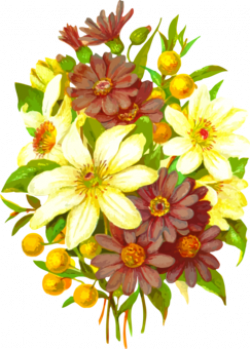 Paper Floral design Cut flowers Scrapbooking free commercial clipart ...