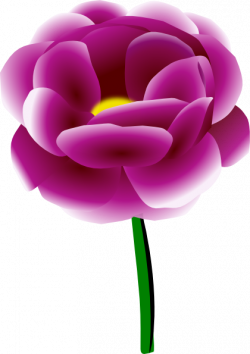 Free Peonies Flower Cliparts, Download Free Clip Art, Free Clip Art ...