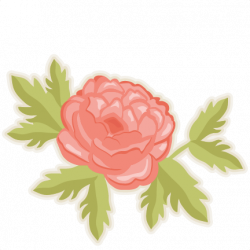 Free Peonies Flower Cliparts, Download Free Clip Art, Free Clip Art ...