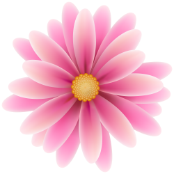 Pink Flower Clip Art Image | Gallery Yopriceville - High-Quality ...