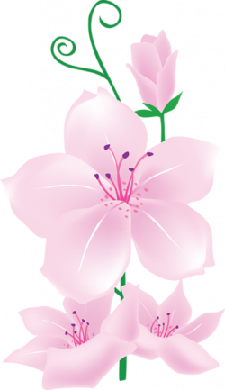 Light Pink Flowers Clipart | flowers | Flowers, Flower clipart, Clip art