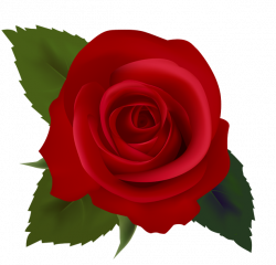 Free Red Rose Clipart, Download Free Clip Art, Free Clip Art on ...