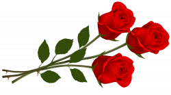 Clip Art Red Rose | Roses | Pinterest | Red roses, Single red rose ...