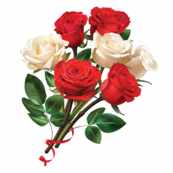 Women Day Red And White Rose Flower, Rose Clipart, Flower Clipart ...