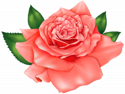 Flower svg library library rose - RR collections