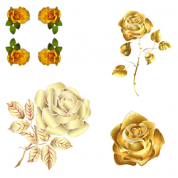 Golden Rose PNG Images | Vectors and PSD Files | Free Download on ...