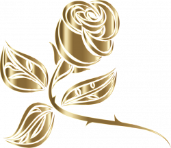 Cut flowers Rose Thorns, spines, and prickles Drawing free ...