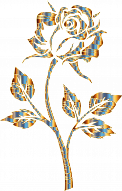 Clear background flower jpg download - RR collections