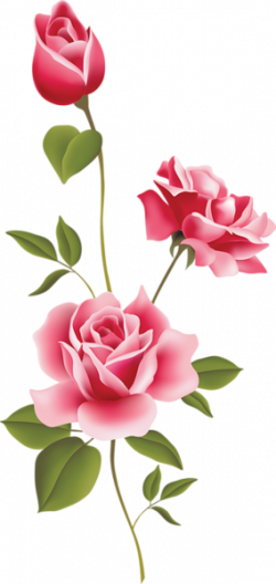 PINK ROSES CLIP ART | CLIP ART - SPRING - CLIPART | Rose art, Pink ...