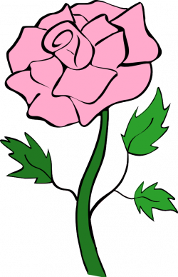 Free Roses Images Free, Download Free Clip Art, Free Clip Art on ...