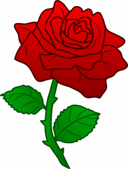 Free Roses Images Free, Download Free Clip Art, Free Clip Art on ...