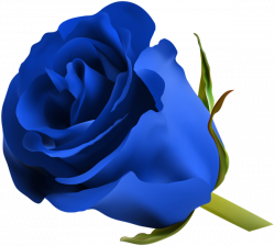 Royal blue flower black and white library - RR collections
