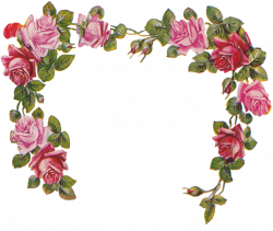Free rustic flower vector transparent - RR collections