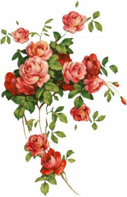 Фото, автор ladylony на Яндекс.Фотках | Art~Shabby Chic Vintagey ...