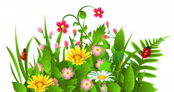 Free spring flower clipart freeuse download - RR collections