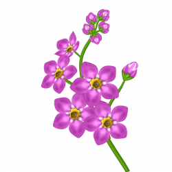Pink Flower Transparent Clipart | PNG Flowers | Pinterest | Flowers ...