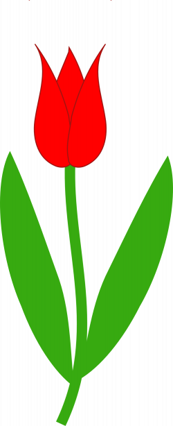 Clip art royalty free download tulip flower - RR collections