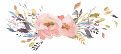 Watercolor flower vector free - RR collections