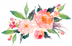 Peach watercolor flower vector royalty free - RR collections